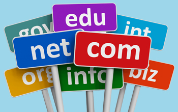 Domain-Name-Registration